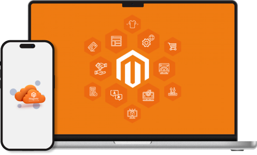 eCommerce development process