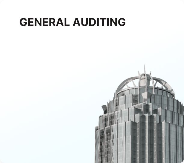general audit